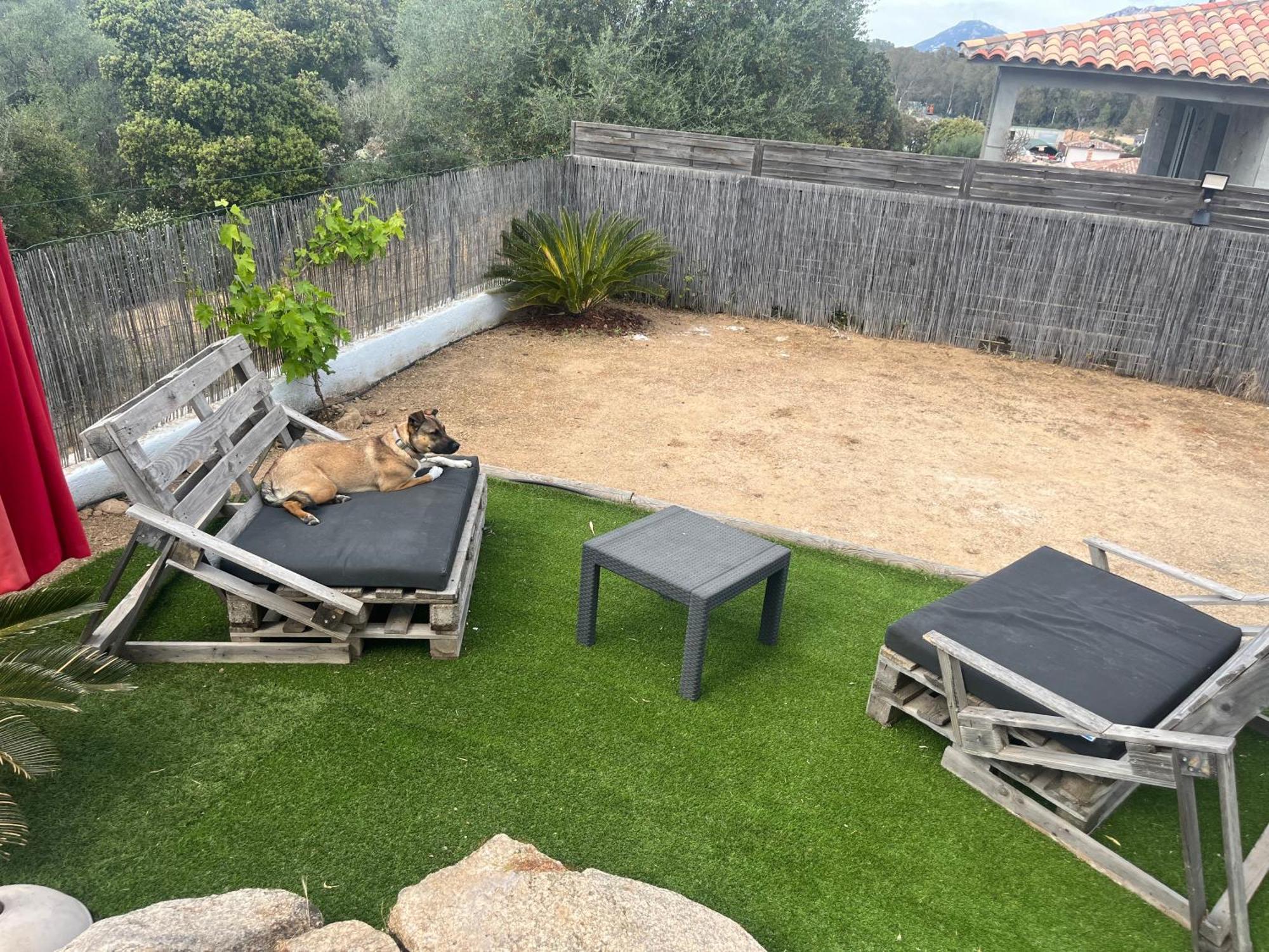 Villa Orethaga Piscine 10 Pers Porto Vecchio Екстериор снимка