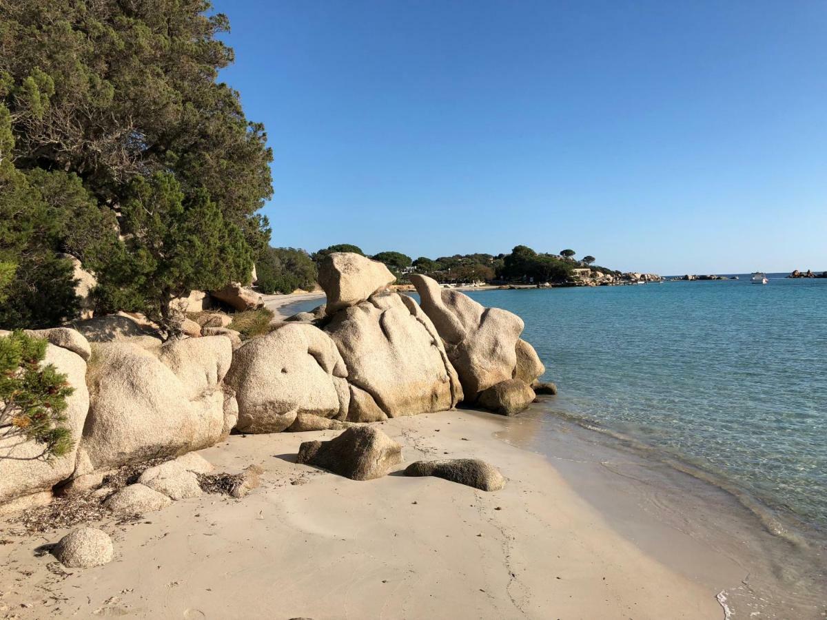 Villa Orethaga Piscine 10 Pers Porto Vecchio Екстериор снимка